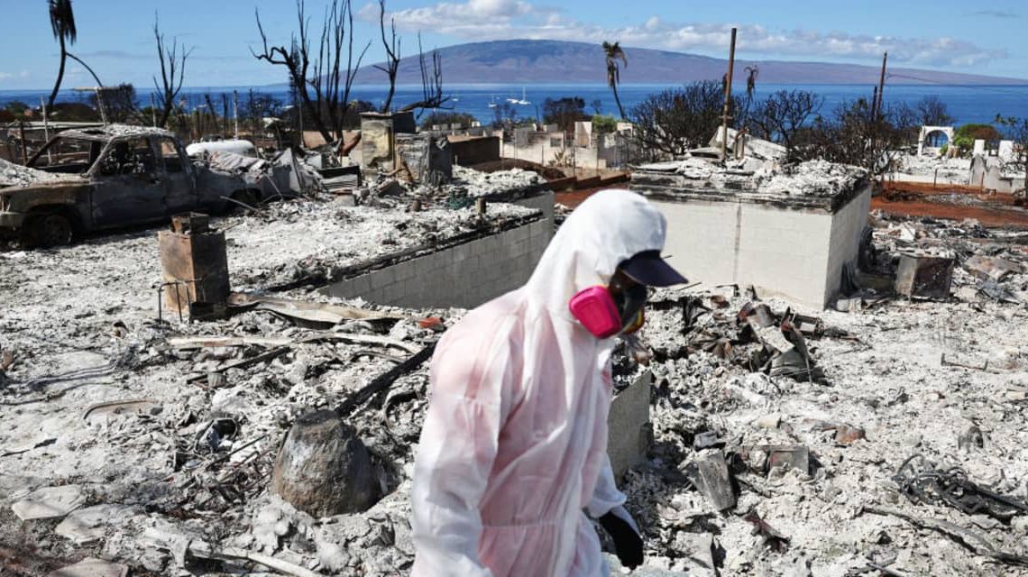 Insurance Stocks Look Attractive Now. Metlife and 5 Other to Consider.