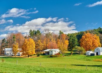 How Much Real Estate Agents Earn In Every State In 2023