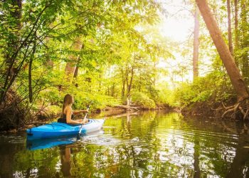 The Richest Cities In North Carolina, Per The Latest Census Data