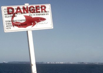 Student loan scammers are back on the hunt as payments resume; here’s what to watch for