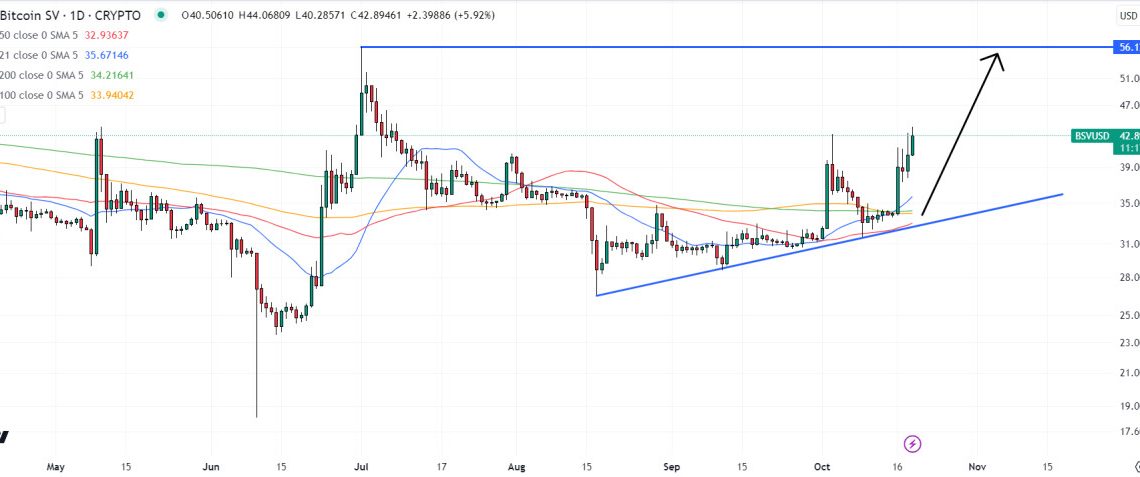 Is the Bullish Rally Set to Continue?