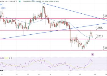 DOGE Rallies Up 4% as End of Year Bull Market Approaches – $1 Incoming?