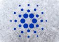 Is It Too Late to Buy Cardano? ADA Price Soars 19% as New Crypto Casino Project Gathers Steam