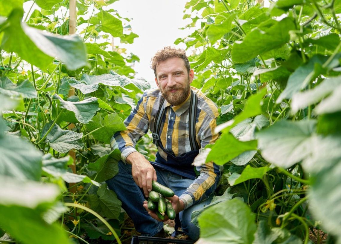 How To Use Tax Harvesting Before Year End To Lower Your Taxes