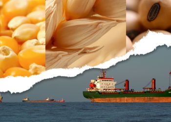 Drop in grain prices may lead to stronger corn and soybean demand, tighter wheat supplies