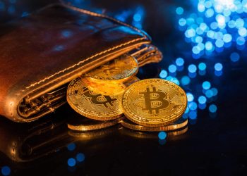 Wallet of Satoshi Removed From Apple and Google’s US Stores