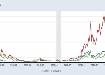 Can We Please Stop The Crypto Investor Madness Now