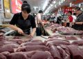 Plunging pork prices tip China back into deflation