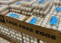 Border Patrol sees uptick in egg smuggling on southern border amid skyrocketing prices