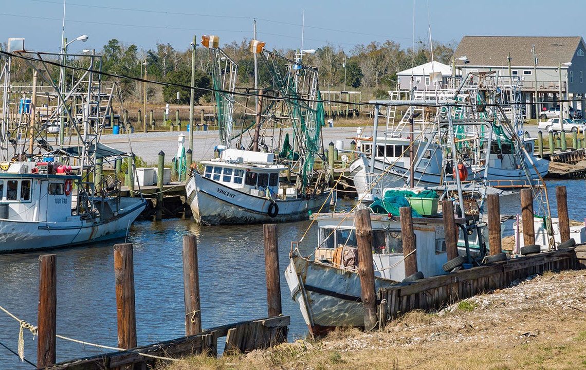 Trump tariffs appreciated by US shrimpers: ‘threw us a lifeline’