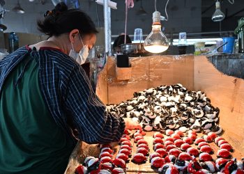 China tariffs mean ‘Christmas is at risk,’ toy industry CEO says