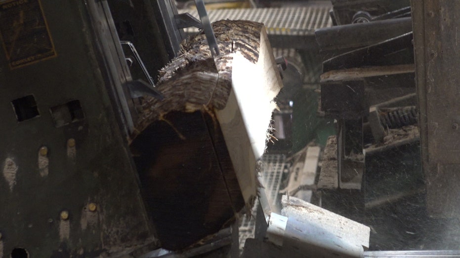 Sawmill Cuts Log in South Pittsburg, TN