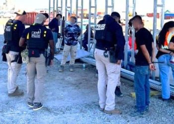 Auto workers union condemns Hyundai working conditions in wake of federal raid on Georgia site