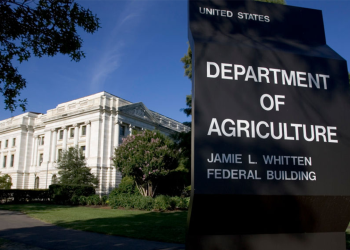 Government shutdown threatens food stamps for 42 million Americans: ‘Insufficient funds’