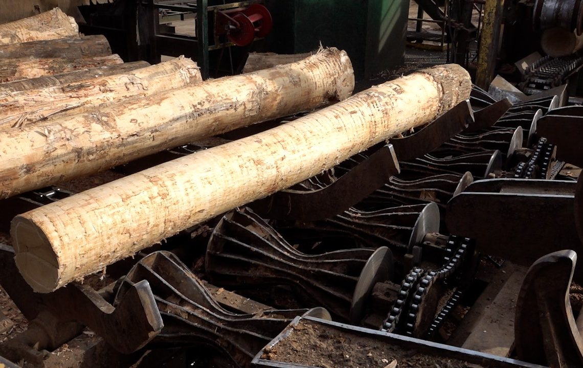 US sawmills warn of accelerating closures as tariffs, weak demand squeeze industry