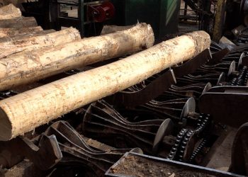 US sawmills warn of accelerating closures as tariffs, weak demand squeeze industry