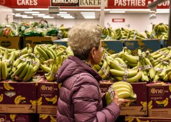 Inflation remained elevated in November as Fed considers pausing interest rate cuts