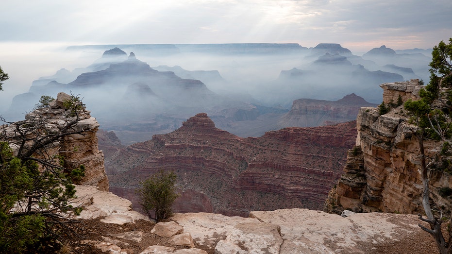A view of the Grand Canyon's South Rim