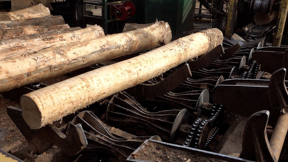 Sawmills struggle during trade negotiations