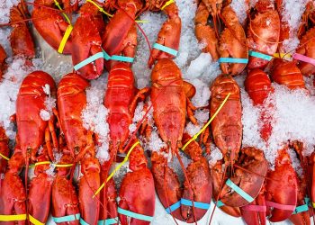 $400k shipment of live lobsters hijacked en route to Midwest Costco locations