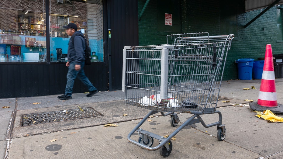 Pedestrian moves along a city street lined in Brooklyn.